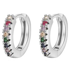 Lymphatic Germanium Magnetology Drainage Silver Electro-Plated Hoop Earrings